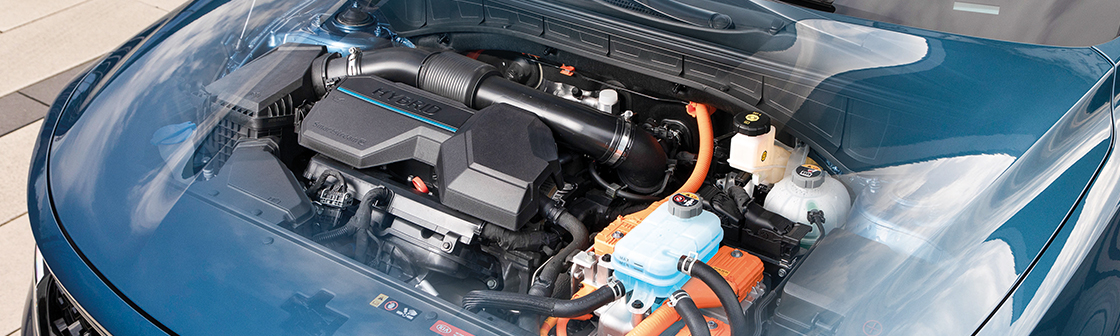 Kia MOT Book Kia MOT Test Lloyd Kia